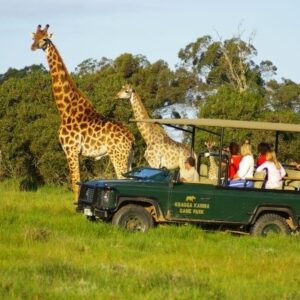 Kragga Kamma Safari